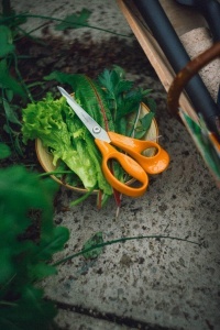 Foarfeca universala Fiskars Classic, 21 cm, otel inoxidabil, maner ergonomic, portocalie - Img 6