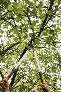 Foarfece de taiere Fiskars PowerGear X Bypass Gear pentru lemn proaspat, acoperit antiaderent, otel de precizie calit, lungime: 80 cm, negru/portocaliu, LX98-L, 1020188 - Img 17