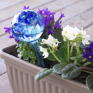 InnovaGoods - Baloane automate de irigare Aqua Loon Set de 2 10 zile de udare stil artizanal versatil pentru toate speciile de plante albastru 2 x 350 - Img 4
