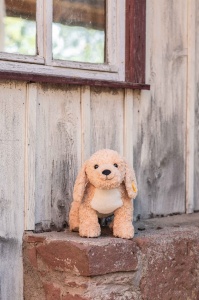 Jucarie de Plus Steiff Berno Goldendoodle 36 cm, bej, blana moale - Img 3