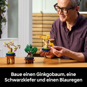 LEGO Botanicals Mini-Bonsais 10373 Ginkgo Schwarzkiefer si Blauregen Decoratiuni DIY - Img 3