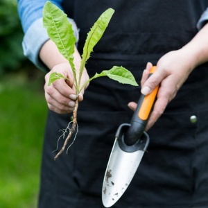 Lopata de plantat Fiskars Premium 27 cm, otel inoxidabil, negruorange - Img 4