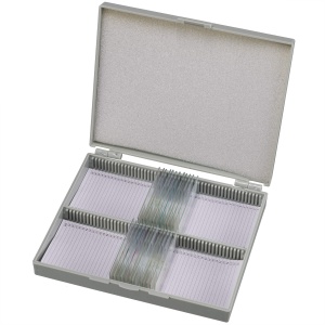 Mikroscop cu 25 Preparaturi Biologice in Cutie Plastic