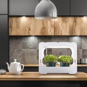 Mini Sera cu LED Xavax pentru Plante, 3 Ghivece 10 cm, Alb - Img 5