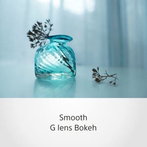 Obiectiv Sony E 15 mm F1.4 G - Ultra-Weitwinkel, F1.4, pentru Vlogging - Img 5