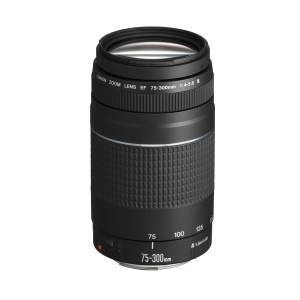 Obiectiv telezoom Canon EF 75-300mm F4.0-5.6 III, 58mm, negru