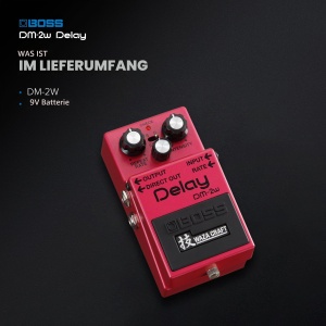 Pedala de efect Delay BOSS DM-2W Analogica Moduri Standard si Custom - Img 5