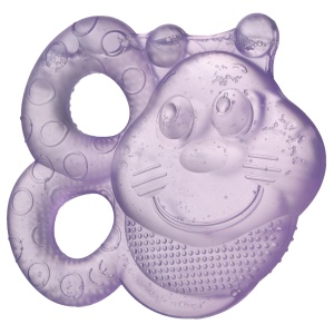 Playgro Beissring Biene 40200 Set 2 Bucati Multicolor Umplut cu Apa - Img 3