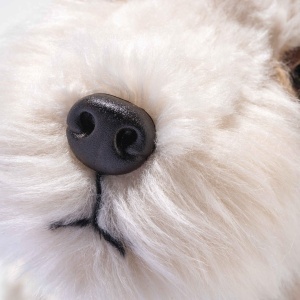Plus de Jucarie Steiff Foxy Foxterrier 32cm, Culoare Creme, Negru si Lapte - Img 5