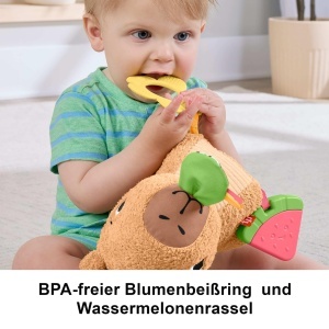 Plus pentru bebelusi Fisher-Price Capybara cu detalii senzoriale, 0-12 luni - Img 4