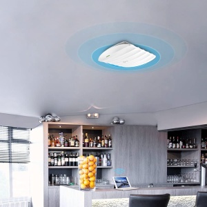 Punct de acces wireless TP-Link EAP115, 300Mbits, suport PoE, montare pe tavan - Img 4