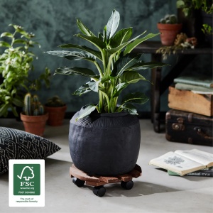 Rola pentru plante WAGNER COUNTRY, 30 cm, din lemn masiv, capacitate 100 kg - Img 3