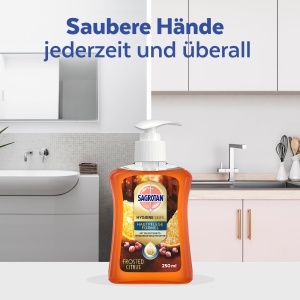 Sapun lichid Sagrotan editie limitata iarna 6 x 250 ml, cu aroma citrice - Img 5