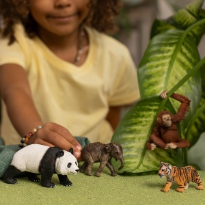 Set de Figurine Schleich WILD Life Asien 42736 4 Piese Panda, Elefant, Tigru - Img 2