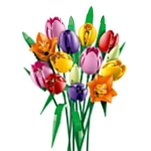 Set LEGO Botanicals Buchet de Lalele 11501 - 14 Lalele Colorate, DIY Decoratiune - Img 5