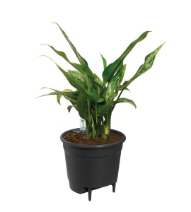 Sistem de autoirigare elho Bewasserungssystem 24cm, negru, reciclat