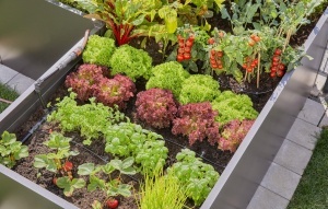 Sistem de Irigare prin Picurare Gardena Micro-Drip 35 Plante, Eficient, Usor de Instalare - Img 4