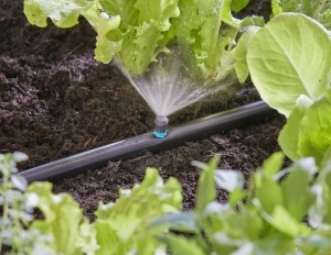 Spray pentru irigare Gardena Micro-Drip 90 grade, raza 2.5 m, set 5 buc - Img 7