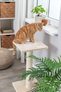 Stalp de zgariat TRIXIE Baena, 69 cm, bej, cu sisal - Img 4
