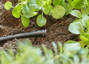 Stopper pentru sistem de irigare Gardena Micro-Drip 4,6 mm, reutilizabil, set 10 bucati - Img 3