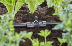 T-Model Gardena pentru Spruhdusen 13 mm, 5 buc, Conectare rapida - Img 6