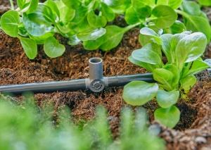 T-Scurgere Gardena Micro-Drip-System 4,6 mm, 5 bucati, fixare sprayers - Img 7