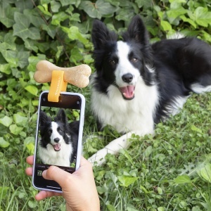 Accesoriu pentru selfie-uri cu animale InnovaGoods, universal, antiderapant, portocaliurosu - Img 4