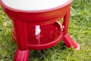 Adapatoare automata pentru pasari Kerbl 70233, 30 litri, plastic rosualb - Img 2