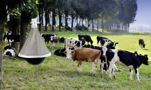 Capcana pentru muste Kerbl Taon-X Eco fara insecte si paraziti fara otravura rata de captura de 95 inclusiv lant de zale pentru suspensie - Img 3