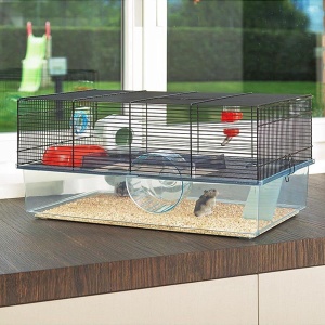 Cusca hamster Ferplast cusca rozatoare FAVOLA cusca pentru animale mici accesorii hamster incluse 60 x 37 x h 30 cm - Img 3