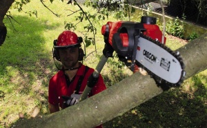 Fierastrau telescopic cu acumulator Einhell GE-LC 18 Li T-Solo 20 cm fara acumulator si incarcator - Img 4
