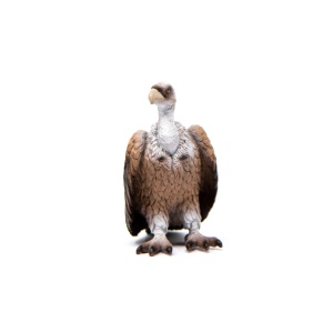 Figurina Vultur Schleich WILD Life 14847, 4 x 6 x 7 cm, pentru copii de la 3 ani - Img 3