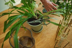 Foarfeca de gradina Fiskars Urban Plant Care, 18.8 cm, din otel inoxidabil reciclat, verdenegru - Img 10