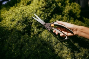 Foarfeca pentru buxus Fiskars S50, 26 cm, otel de calitate, negruorange - Img 3