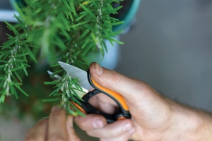 Foarfeca pentru ierburi Fiskars SP-220, 12,9 cm, otel inoxidabil, manere confortabile - Img 4