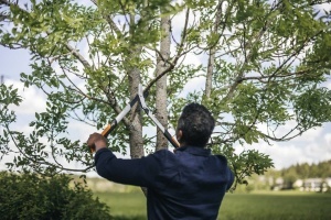 Foarfeca pentru taiat crengi Fiskars PowerGear X LX94-M, 64 cm, negruorange, pentru lemn proaspat - Img 12