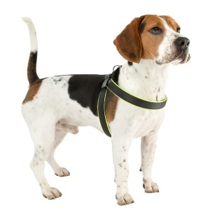 Hamul ergonomic pentru caini Ferplast AGILA Fluo 3 potrivire excelenta inchidere cu snur captuseala moale A B 37 57 cm 15 mm Verde neon - Img 4