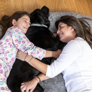 InnovaGoods Cloft Hundebett XXL Antistress Material Poliester Husa Detasabila - Img 3