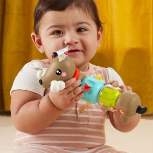 Jucarie pentru bebelusi Fisher-Price FP Pets Activitate Caine cu sunete si culori vii - Img 2