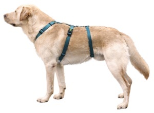 Kerbl Pet Panic Harness Miami benzina 25 mm 64-100cm - Img 2