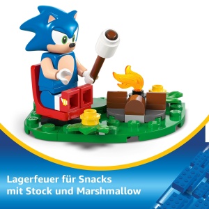 LEGO Sonic The Hedgehog 77001 Set de Joaca cu Figurine si Accesorii - Img 6