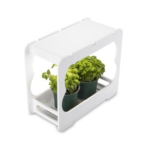 Mini Sera cu LED Xavax pentru Plante, 3 Ghivece 10 cm, Alb - Img 2