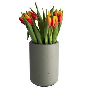 Racitor de sticle APS ELEMENT din beton, 0.7-1.5 litri, inaltime 19 cm, verde - Img 4