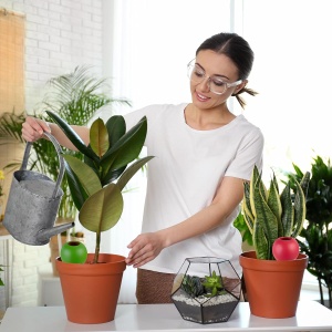 Set 4 Ghiuvete pentru Udat Plante, Relaxdays, 300ml, Design Colorat - Img 3