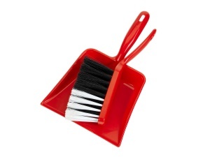 Set de curatenie pentru copii Theo Klein 6613, 2 piese, plastic rezistent, 16.5 cm