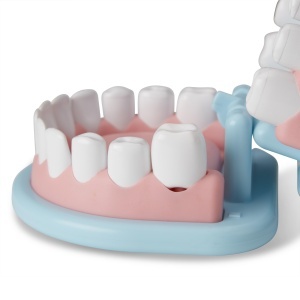 Set de joaca dentist Melissa Doug Super Smile, 26 piese, pentru copii de la 3 ani - Img 7
