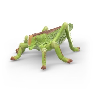 Set de Joaca Insecte Schleich WILD LIFE 4 Figurine Detaliate 3 Ani - Img 5