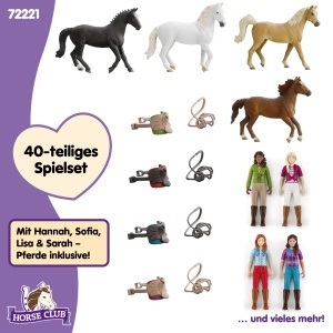 Set de Joaca Schleich Horse Club 72221 cu 40 Piese, Figurine si Accesorii - Img 6