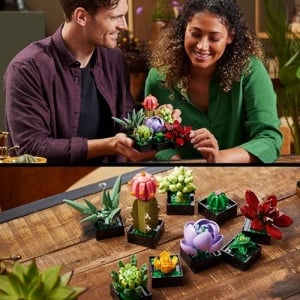 Set LEGO Botanicals 10309 Sukkulenten 9 plante artificiale decor modern pentru casa si birou - Img 8