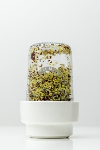 Set pentru germinare KILNER cu sticla de 500 ml, suport ceramic si design multi-nivel - Img 3